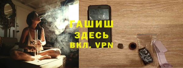 индика Белокуриха
