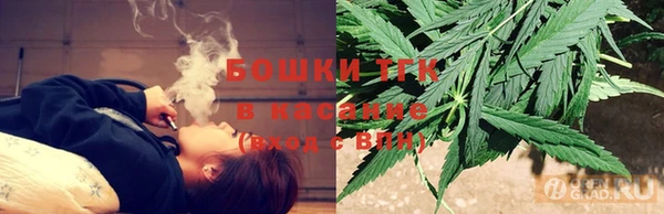шишки Балабаново