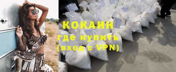 шишки Балабаново