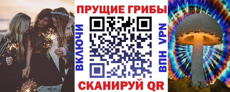 Галлюциногенные грибы Psilocybine cubensis  блэк спрут как зайти  Коммунар 